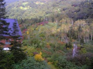 栂池自然園の紅葉