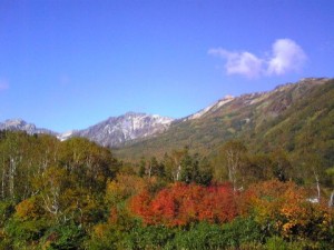 栂池自然園の紅葉