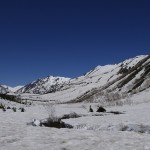 栂池自然園より白馬岳を望む