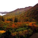 紅葉の栂池自然園