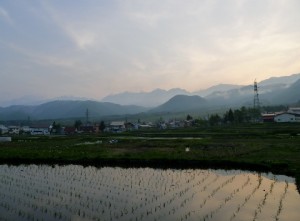 田植え