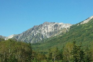 栂池自然園より白馬岳