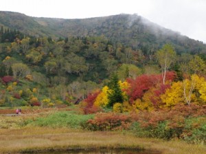 栂池自然園の紅葉